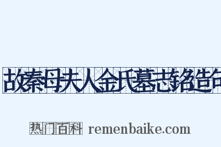 故秦母夫人金氏墓志铭造句是什么意思的图片
